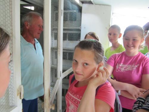 20150624 - 5. třída - Naši domácí mazlíčci