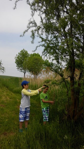 20150515 - Přírodovědný kroužek u rybníka