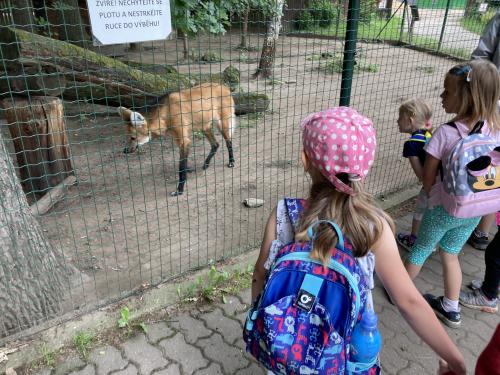 MŠ - výlet ZOO Hodonín