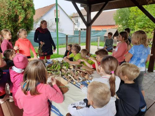 ŠD - Výukový program ,,Stromy všemi smysly"
