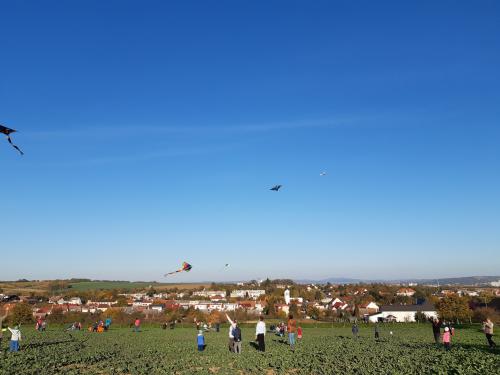 MŠ - DRAKIÁDA