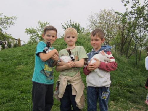20170502 - ŠD - Fotky z družinového tvoření venku a taky fotky našich osrstěných kamarádů - přírůstků